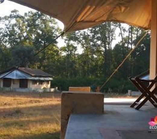 Ecolux Baghsarai Resort