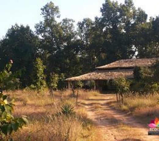 Ecolux Baghsarai Resort
