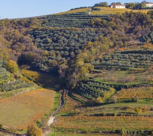 Agriturismo Casa Zen
