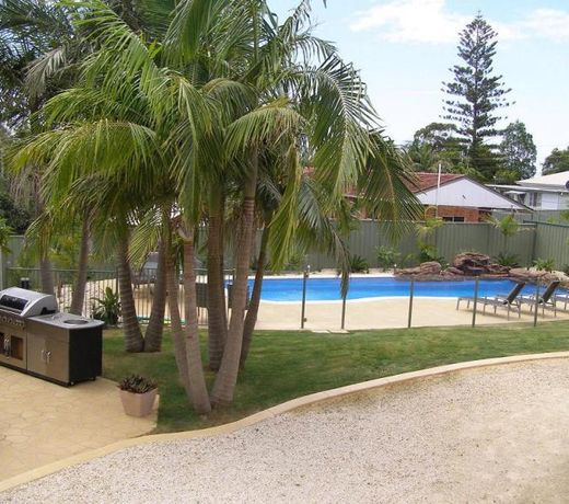 Koala Tree Motel