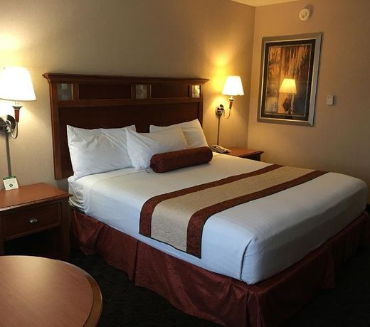 Midnight Rose & McGills Casinos