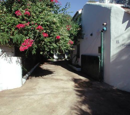 BUNGALOWS EL TOPO