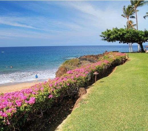 Makena Surf
