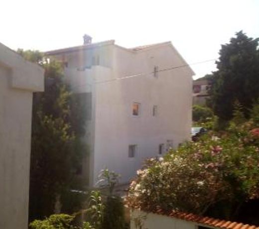 Apartments and rooms Camelia