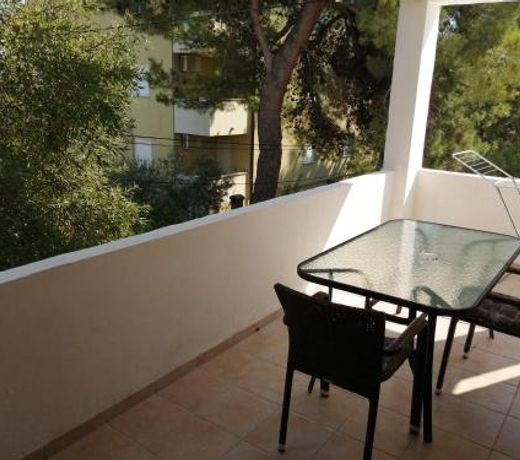 Apartments and rooms Camelia