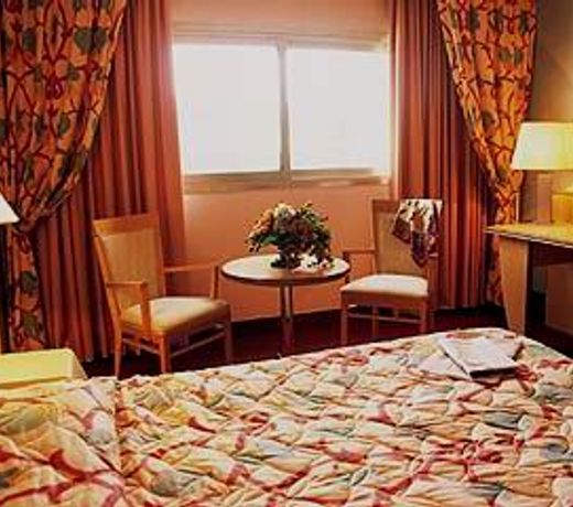 HÃ´tel Lyon Metropole