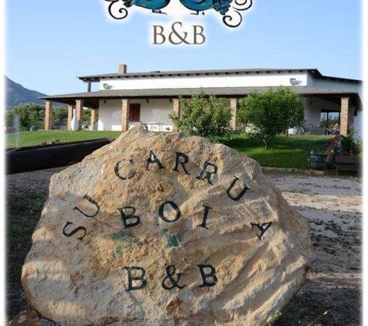 SU CARRU A BOI