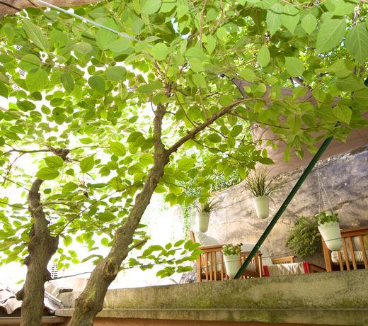 boutique HÃ´tel Azur