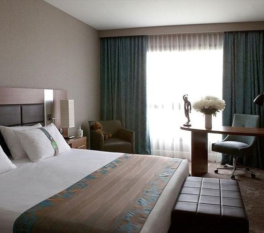 Holiday Inn Nice, an IHG Hotel