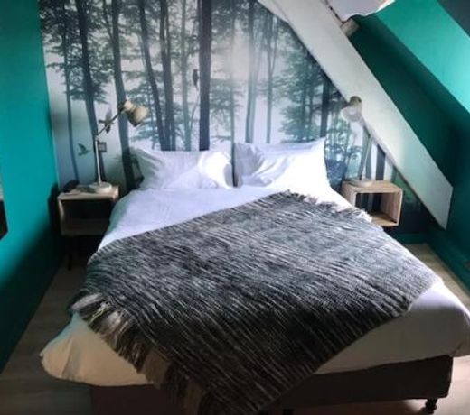 Hotel Du Cygne Tours