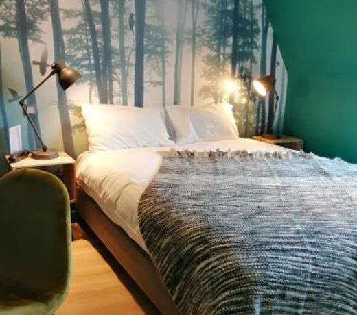 Hotel Du Cygne Tours