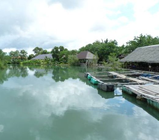 Chaiyo Resort