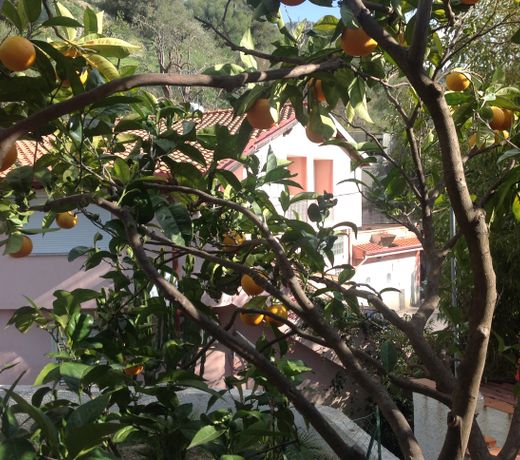 Casamalva