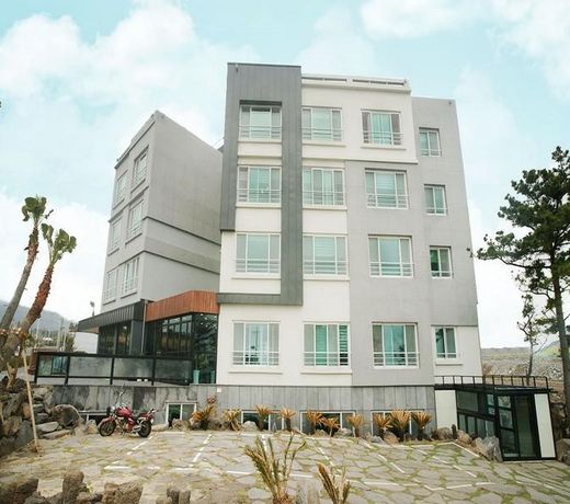 Jeju Saint House