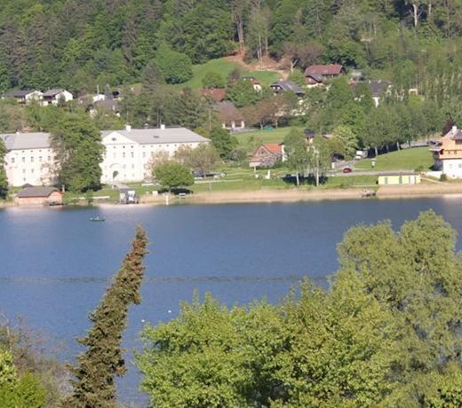 Ferienwohnung K+M+B am Ossiacher See - Jerry