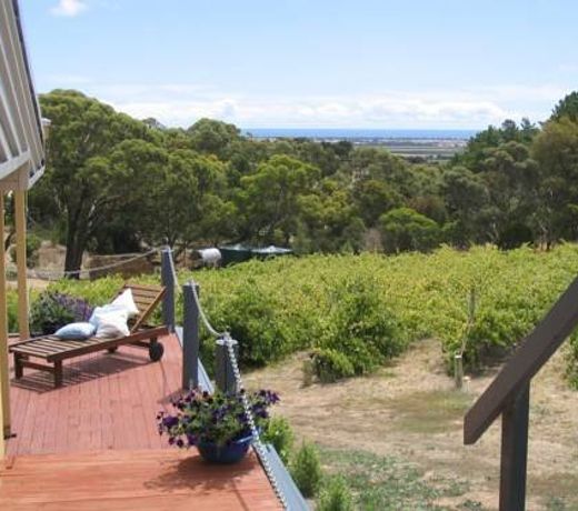 THE BLUE GRAPE VINEYARD ACCOMMODATION