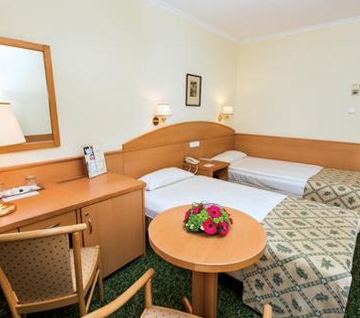 Danubius Hotel Erzsébet City Center