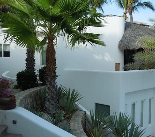 MASHA CASITA