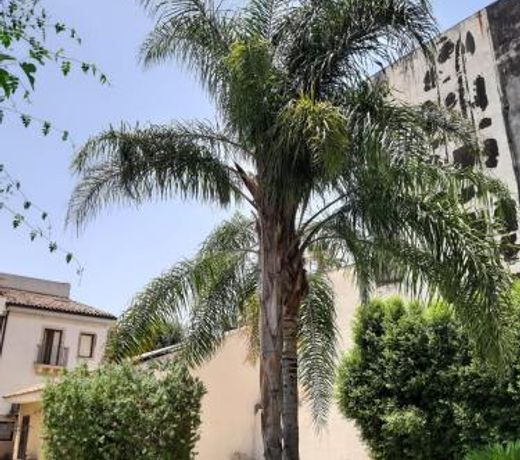 Residence La Palma