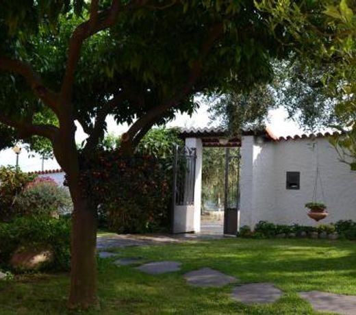 Azienda Agrituristica Villa Arianna
