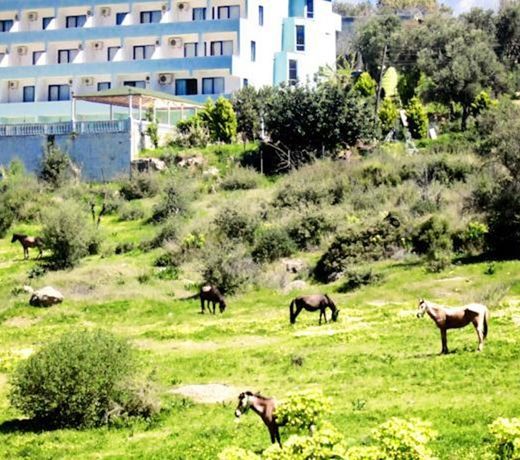 Patara Ince Hotel