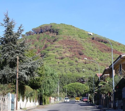 B&B Alfio Tomaselli