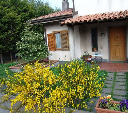 B&B Magnolia