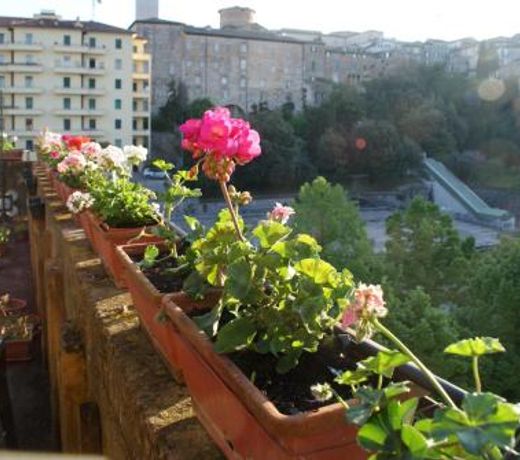 Alla Residenza Domus Minervae