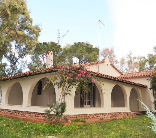 Is Morus Relais