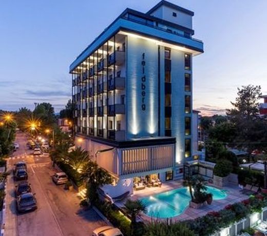 Hotel Feldberg