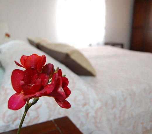Il Mirto E La Rosa