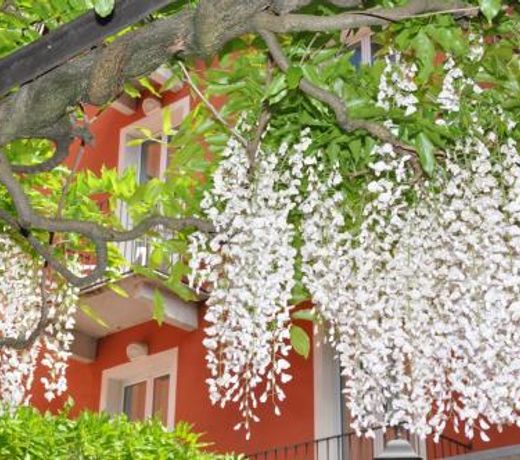 Hotel Moderno