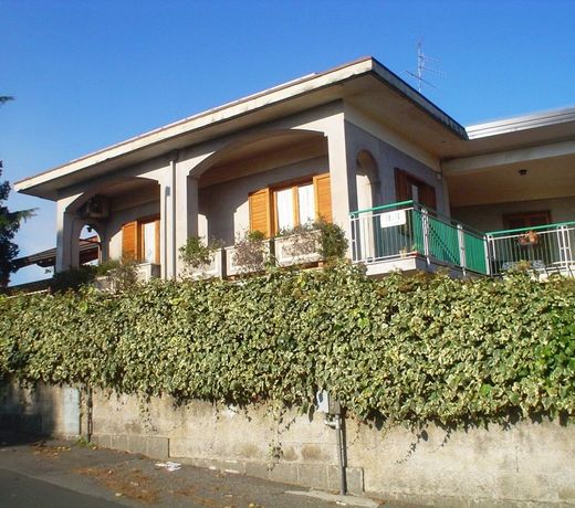 Il Vigneto