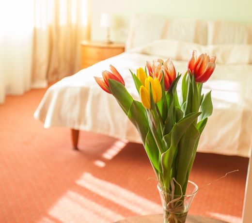 AirInn Vilnius Hotel