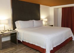 Holiday Inn Buenavista, an IHG Hotel фото 3, г. Мехико, 