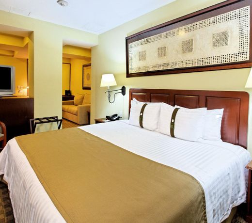 Holiday Inn & Suites Mexico Zona Reforma, an IHG Hotel