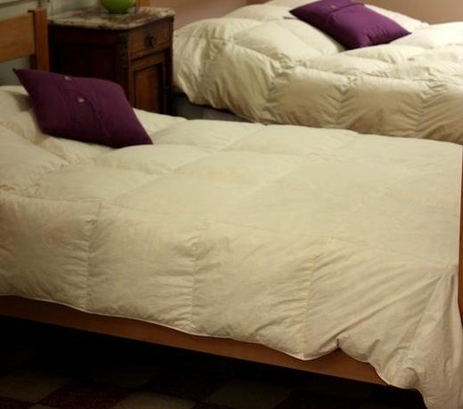 1900 Hostel