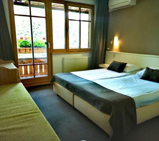 Ribno Alpine Hotel