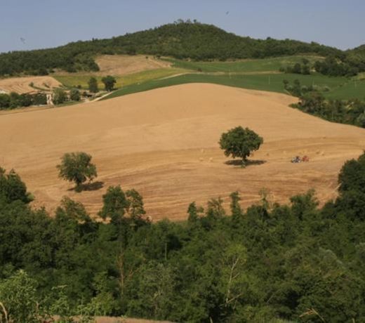 Agriturismo Il Fienile di Cà Battista