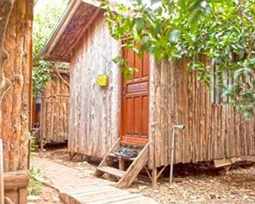 Bayrams Tree Houses - Олимпос - фото 1