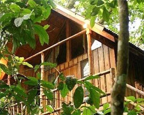 Bayrams Tree Houses - Олимпос - фото 24