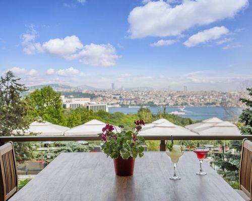 Hilton Istanbul Bosphorus - Стамбул - фото 19