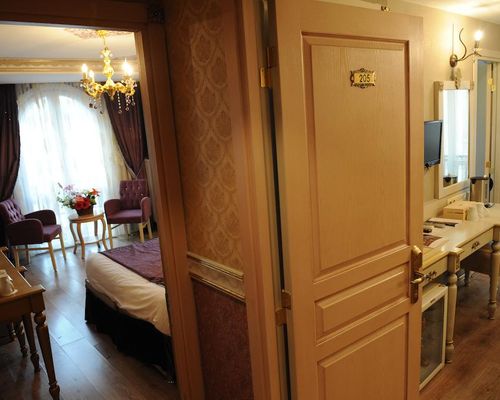 Albatros Premier Hotel - Стамбул - фото 16