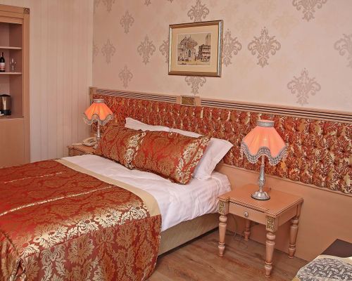 Albatros Premier Hotel - Стамбул - фото 6