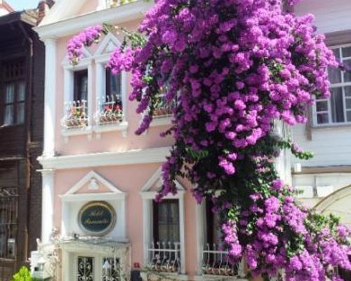 Romantic Hotel Istanbul - Стамбул - фото 23