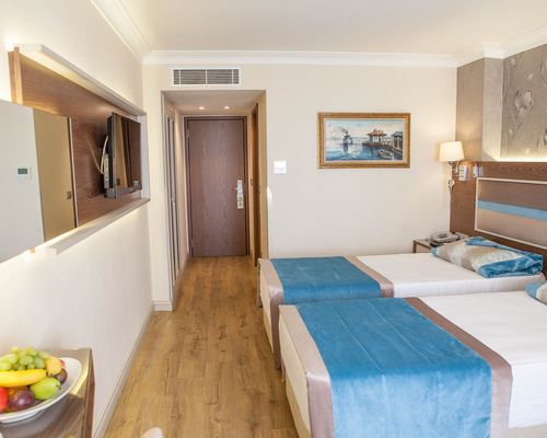 Grand Yavuz Hotel Sultanahmet - Стамбул - фото 5