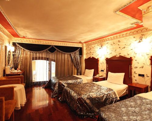 Deluxe Golden Horn Sultanahmet Hotel - Стамбул - фото 5