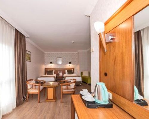 Taksim Lion Hotel&Spa - Стамбул - фото 7