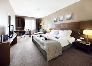 Radisson Blu Conference & Airport Hotel Istanbul
