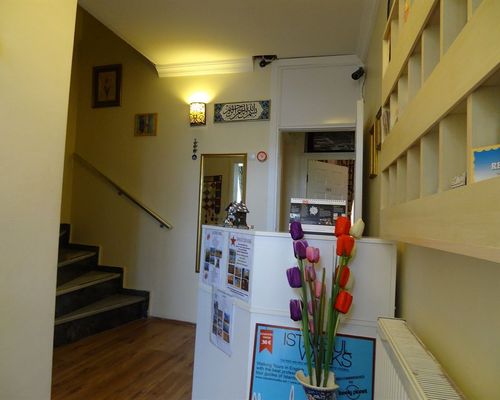 Tulip Guesthouse - Стамбул - фото 18